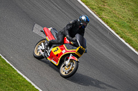 Vintage-motorcycle-club;eventdigitalimages;mallory-park;mallory-park-trackday-photographs;no-limits-trackdays;peter-wileman-photography;trackday-digital-images;trackday-photos;vmcc-festival-1000-bikes-photographs